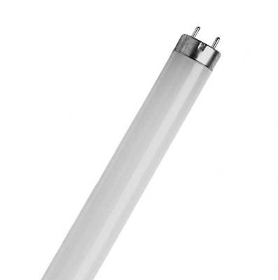 China Indoor Lighting T5 T8 6W 8W 18W 36W 58W Led Fluorescent Light for sale