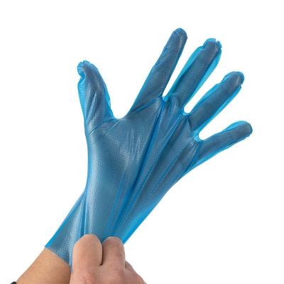 China Household Work Strip Household Disposable Gloves Food Grade Daily Gloves Strip Gloves Supply Blue 100 One Box for sale