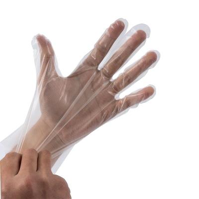 China Disposable Gloves Soft Transparent Catering Gloves Food Grade Clean Gloves Band Bigger Disposable Gloves for sale