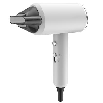 China Household 2022 1400W Ionic Hair Dryer Blow Dryer For Student Travel Use for sale