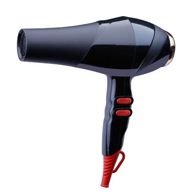 China 2021 Hotel fashion AC motor best-selling professional hair dryer for hair salon home use for sale