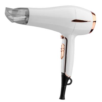 China Fashion High Power Dc Motor Household Ionic Hot Selling Hair Dryer With Cool Pulled Function for sale