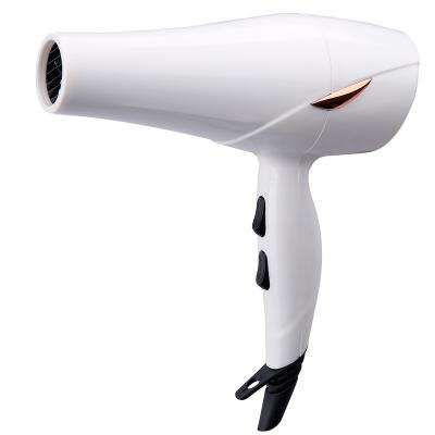 China 2021 Hotel Hot Sale 1200W Household Hair Dryer With DC Motor For Home Student Use for sale