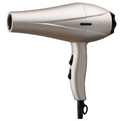 China Hot Sale Hotel Household Hair Dryer With DC Motor Hair Blow Dryer For Home Use for sale