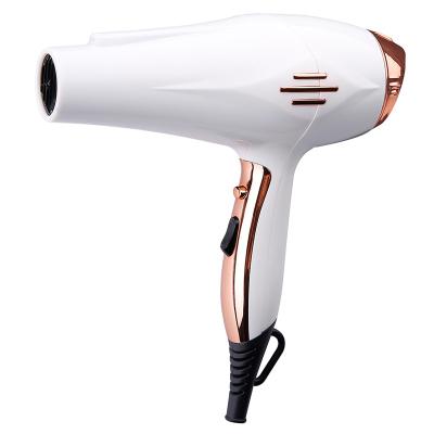 China 2021 New Style Fresh Pulled Function Household Bestselling Hair Dryer With DC Motor For Home Use for sale