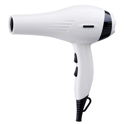 China 2021 Hotel Power 1200W Small Household Bestselling Hair Dryer With DC Motor Student Hair Blow Dryer for sale