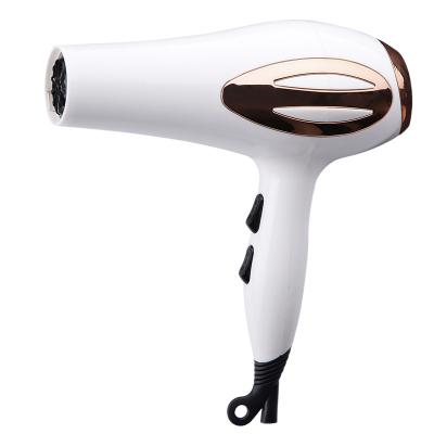 China Over Heat Protection Device 2021 Hot Selling Small Power 1200W DC Motor Household Hair Dryer Accept OEM for sale