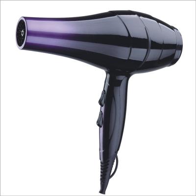 China 2021 Classic Mode DC Motor High Power 1800W Home Use Household Ionic Hair Dryer for sale