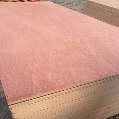 China Modern Face Poplar Bintangor Back Thin 4mm Plywood for sale