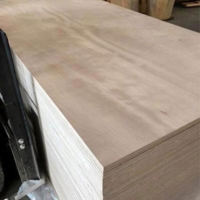 China 4ft*8ft modern plywood for construction for sale