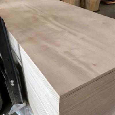 China Modern 12mm thick plywood for sale