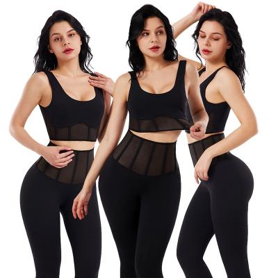 China HEXIN 22022 Wholesale Antibacterial Steel Waist Trainer Gaiters Perspective Bone Shaper Shapewear Sexy Corset Crop Tops Set for sale