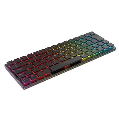 China Anti-ghosting 8839 60% Switch Slim Gaming Low Profile 67 Layouts Design Mechanical Keyboard for sale