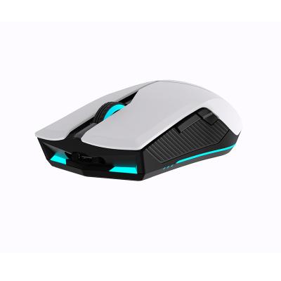 China Hightspeed Wireless Mouse 16000DPI FPS Mobile Gaming Wireless RGB Gaming Mouse With Up To 1000 Hours Of Battery Life for sale