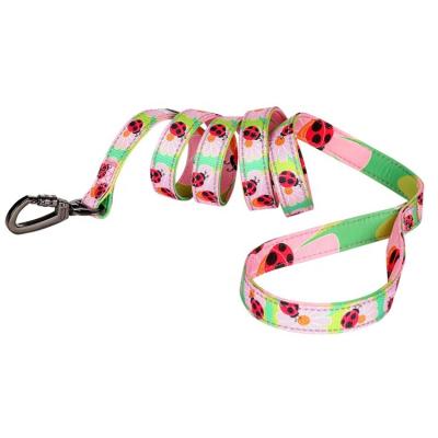 China Manufacturer Soft Nylon Pet Leashes Safety DETACHED Walk for sale