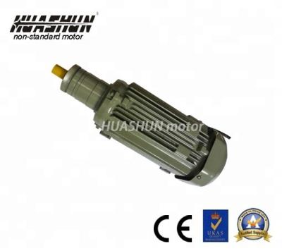 China HUASHUN Waterproof 2 Non-standard Customized Motor for sale