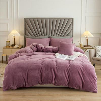 China Nondisposable Hot Sale Polyester Twin Size Fleece Comforter Velvet Duvet Cover Set Luxury for sale