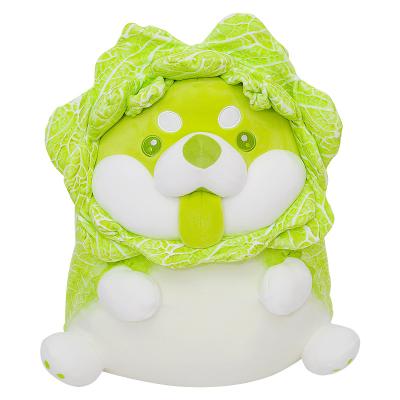 China Vegetable Toy Stuffed Cushion Plush Doll Dog Puppy Sleep Cushion Vegetable Cute Animal Cabbage Pillow Dog for sale