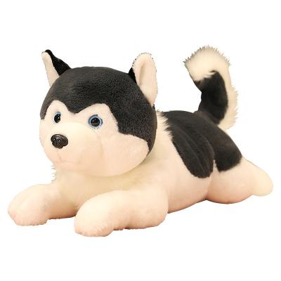 China Cushion Stuff Toy Pug Soft Toy Dog Husky Plush Toy Dog Husky for sale