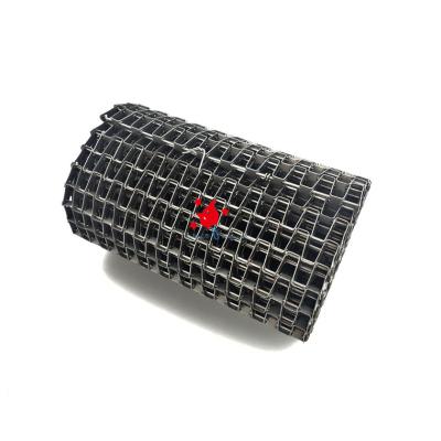 China Resistance Type Netting Alkali Tower Belt The Great Wall Stainless Steel Horseshoe Chain Conveyor Belt for sale