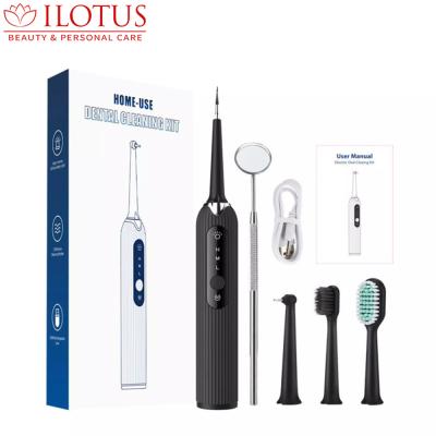 China Higher Frequency Shaking New Arrival Rechargeable Toothbrush Adult Sonic Vibration Electric Tooth Brush Waterproof High Frequency Shaking Cleaner for sale