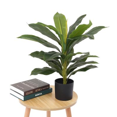 China Spike Plastic Faux Bonsai Tree 60cm Artificial Potted Dracaena Plant For Home Office Decor for sale