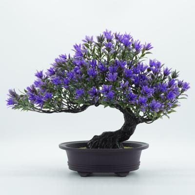 China Real Industrial Faux Home Office Mini Plastic Bonsai Tree Plant Artificial Pine for sale