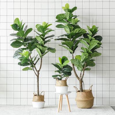 China Hot Wholesale Artificial Plastic Fake Trees Plastic Inddor Ficus Bonsai Plants Fiddle Leaf Fig Tree for sale