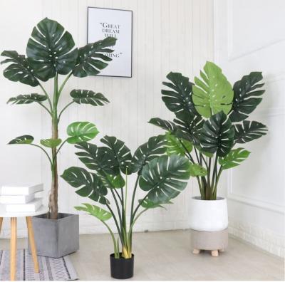 China Eco-Friendly Materials Nataural 10 Real Leaves 60cm High Plastic Artificial Monstera Leaves Potted Tree Split Philo Leaves Indoor Tree In Pot for sale