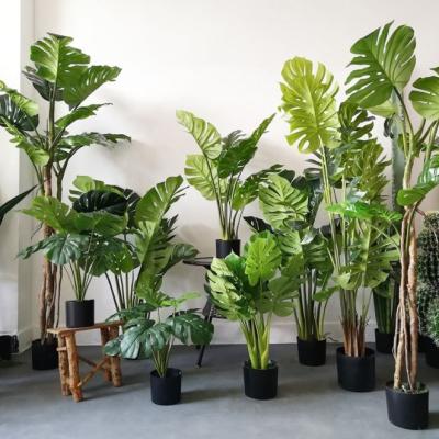 China 2020 New Designs High Quality Artificial Evergreen Bonsai Monstera Minimalist Realistic Plants With Pots For Home Decor for sale