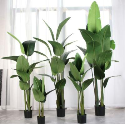 China Industrial Hot Selling Handsome Traveler Plastic Artificial Banana Tree with Pot and Different Size for Garden Decoration for sale