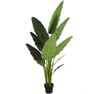 China Novelty Real Touch Plastic Artificial Travaler Banana Tree Skybird Tree For Indoor Decor for sale