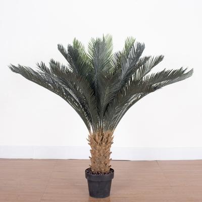 China Novelty Indoor and Outdoor Decorative Cycas Revoluta Green Artificial Palm Tree for sale