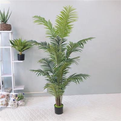 China Wholesale 150cm Modern Artificial Plastic Palm Tree with 14 Branches for Indoor and Outdoor Decoration for sale