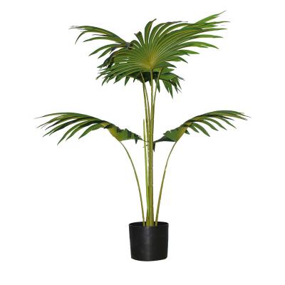 China Novelty Home and Garden Decor Faux Fan Plastic Palm Leaf Artificial Chinese Palm Tree for sale