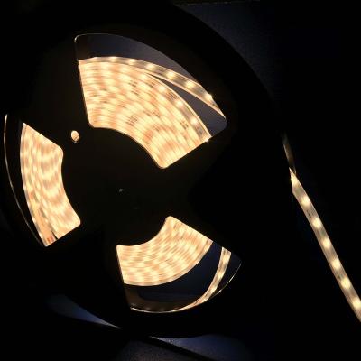 China Garden Waterproof Amazon 24V 10mm 3000K 60LEDs/m Cable Led Strip Light for sale