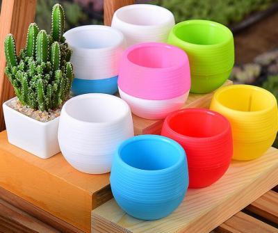 China Cartoon Mini Color Plastic Plant Pots Flower Pots Planters for sale