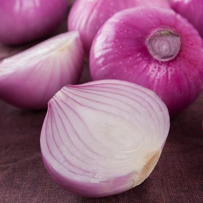 China 2022 Year Supply Fresh Fresh Onion / Red Onion Exporters for sale