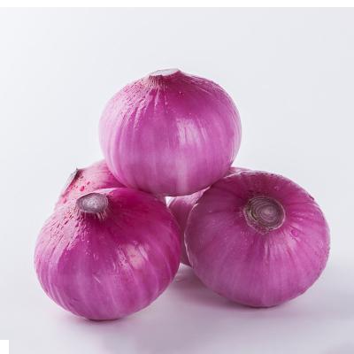 China 2020 fresh good quality export fresh onion fresh onion for sale