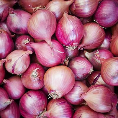 China Fresh Natural Fresh Unpeeled Red Onion Export Quality for sale