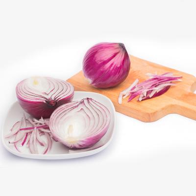 China Lowest Price Fresh Chinese Fresh Red Onion For Sale for sale