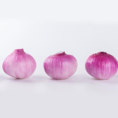 China Fresh Premium Grade Red Onion in Mesh Bags for sale