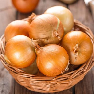 China Yellow Fresh Onion Agricultural Products Exporter for sale