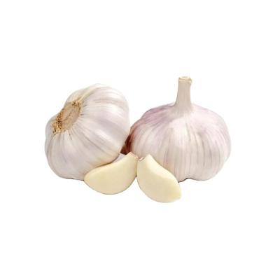 China 2022 fresh selling red garlic of the best quality cost-effective products for sale