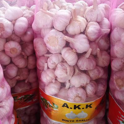 China china factory fresh organic garlic price fresh white garlic for sale