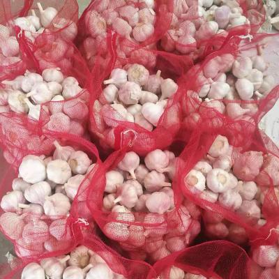 China 2022 fresh pure white fresh garlic / alho / ail / lajo 3P small packaging for sale