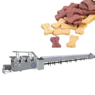 China Snack food factory Functional small biscuit  cookie machine price for sale