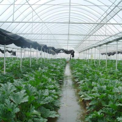 China Plant Growth Systems Greenhouse Fertigation System Hydroponic Hydroponic Growing Agricultural Greenhouse Morocco for sale