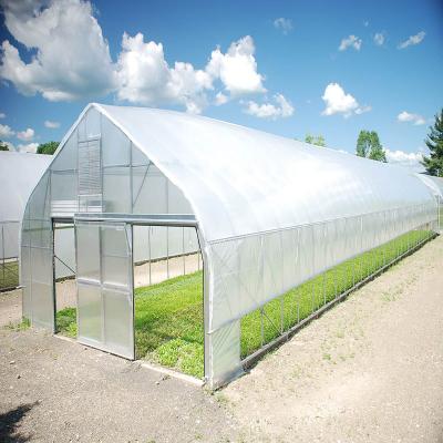 China Multi-span Hydroponic Greenhouse Agricultural Cheap Plant Growth Polycarbonate Greenhouse for sale