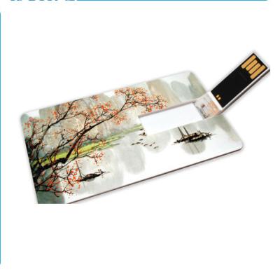 China 4GB 8GB 16GB Plastic Credit Card USB Drive Credit Card Pen Drive Credit Card Flash Memory for sale